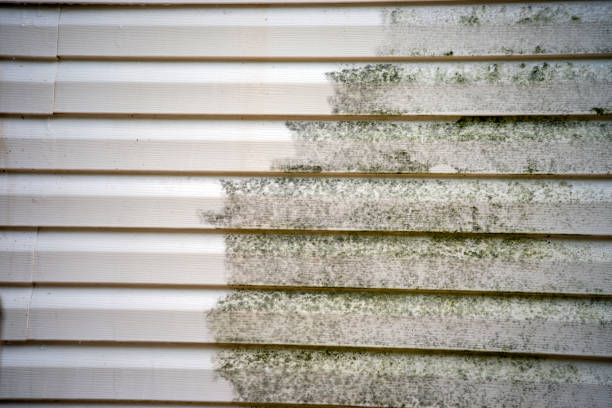 How To Choose The Right Materials for Your Siding Installation in 'Holgate, OH